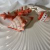 Muschelteller rotes Korallenmuster
