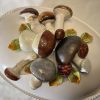 Terrine Pilz