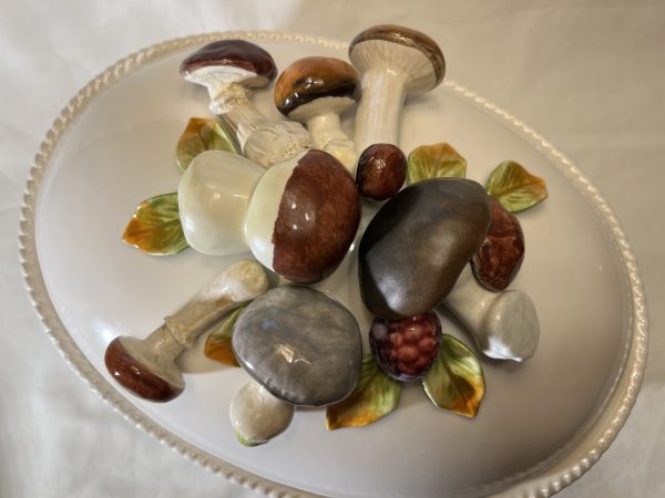 Terrine Pilz