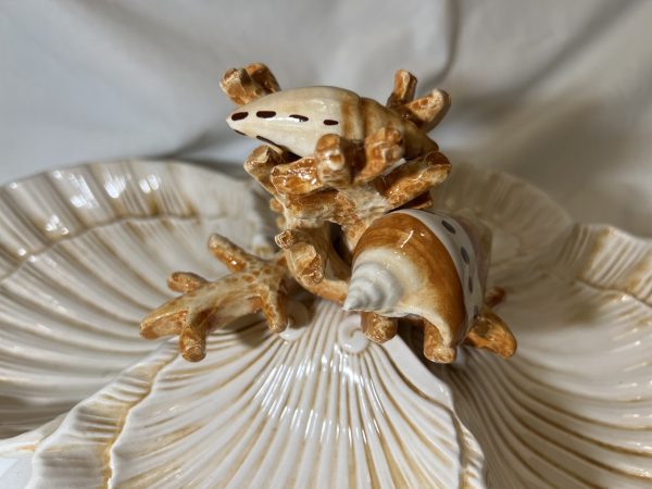 Vierfaches Muschel-Schälchen beige Koralle