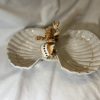 Muschel-Doppelschale beige Koralle