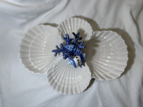 Vierfache Muschelschale blaues Korallenmotiv