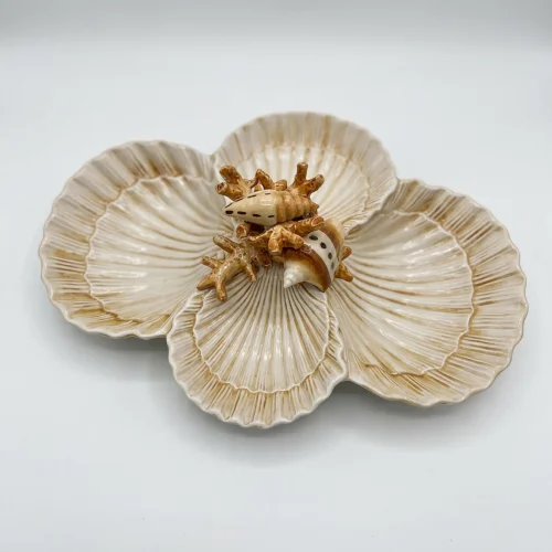 Vierfaches Muschel-Schälchen beige Koralle