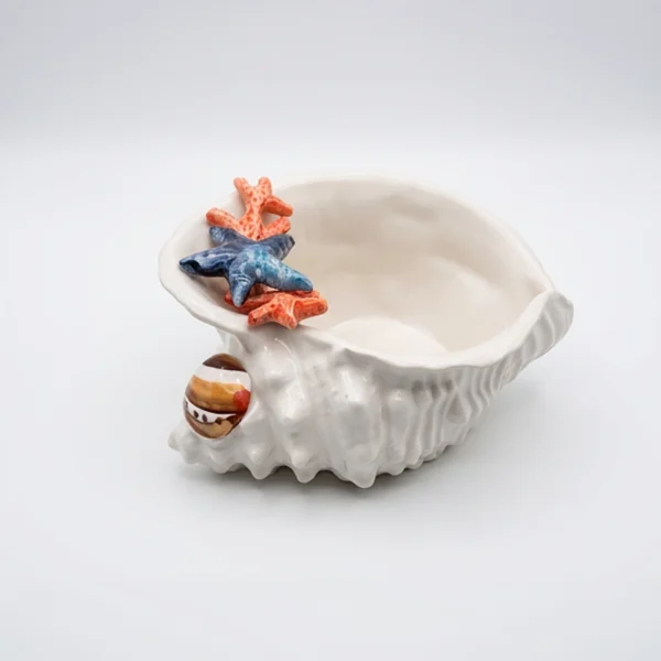 Muschelschale Koralle