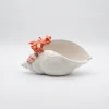 Muschelschale Koralle