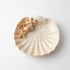 Mittlerer Teller Beige Koralle
