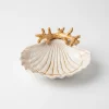 Muschelschälchen Beige Koralle