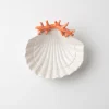 Korallen-Muschel-Schälchen rot