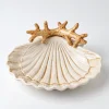 Muschelschälchen Beige Koralle