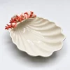Muschelschale rote Koralle