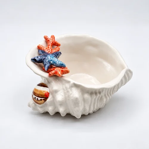Muschelschale Koralle