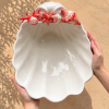 Muschelschale rote Koralle