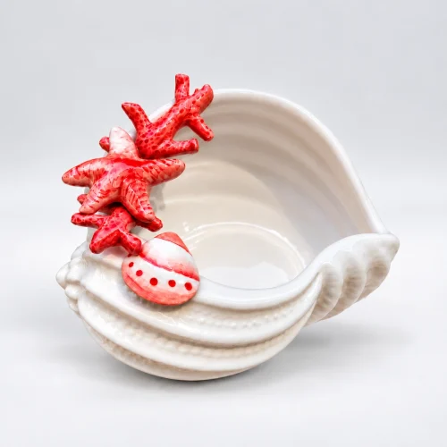Muschelschale Koralle
