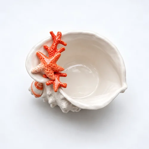 Muschelschale Koralle